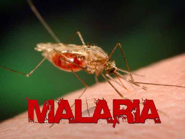 Accelerating malaria control efforts for equity