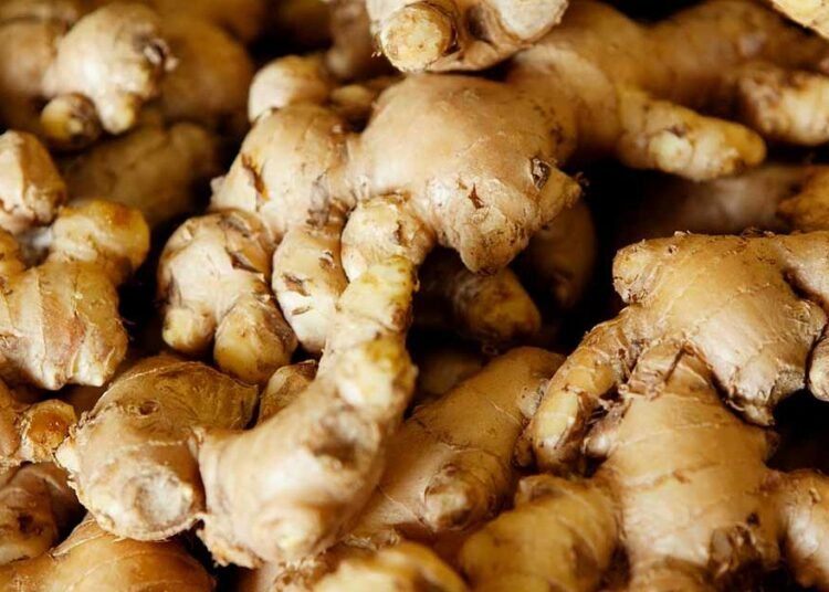 After N10bn Loss, Ginger Farmers Embrace Organic Method